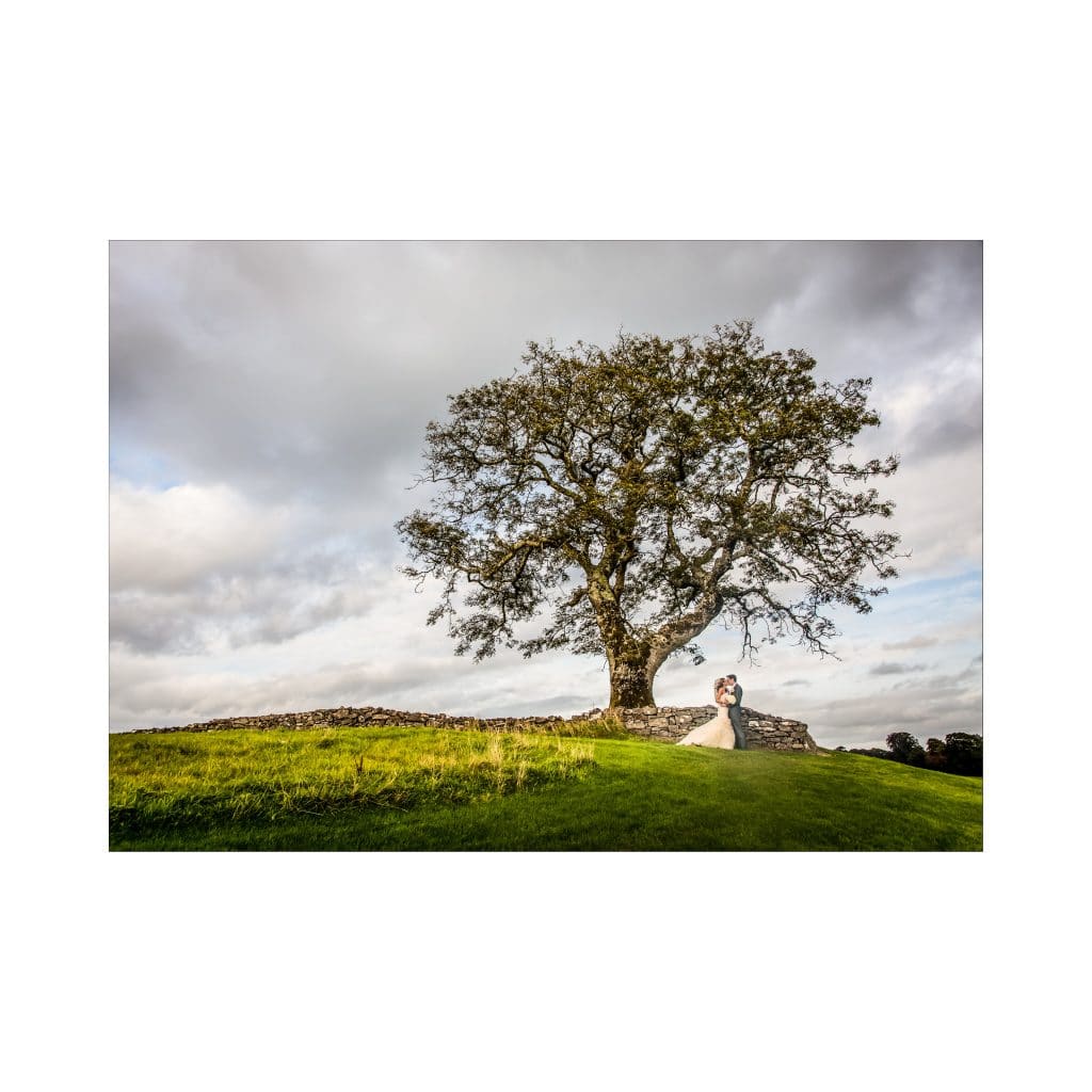 IPPA Best Classical Wedding Photography Portfolio 2015