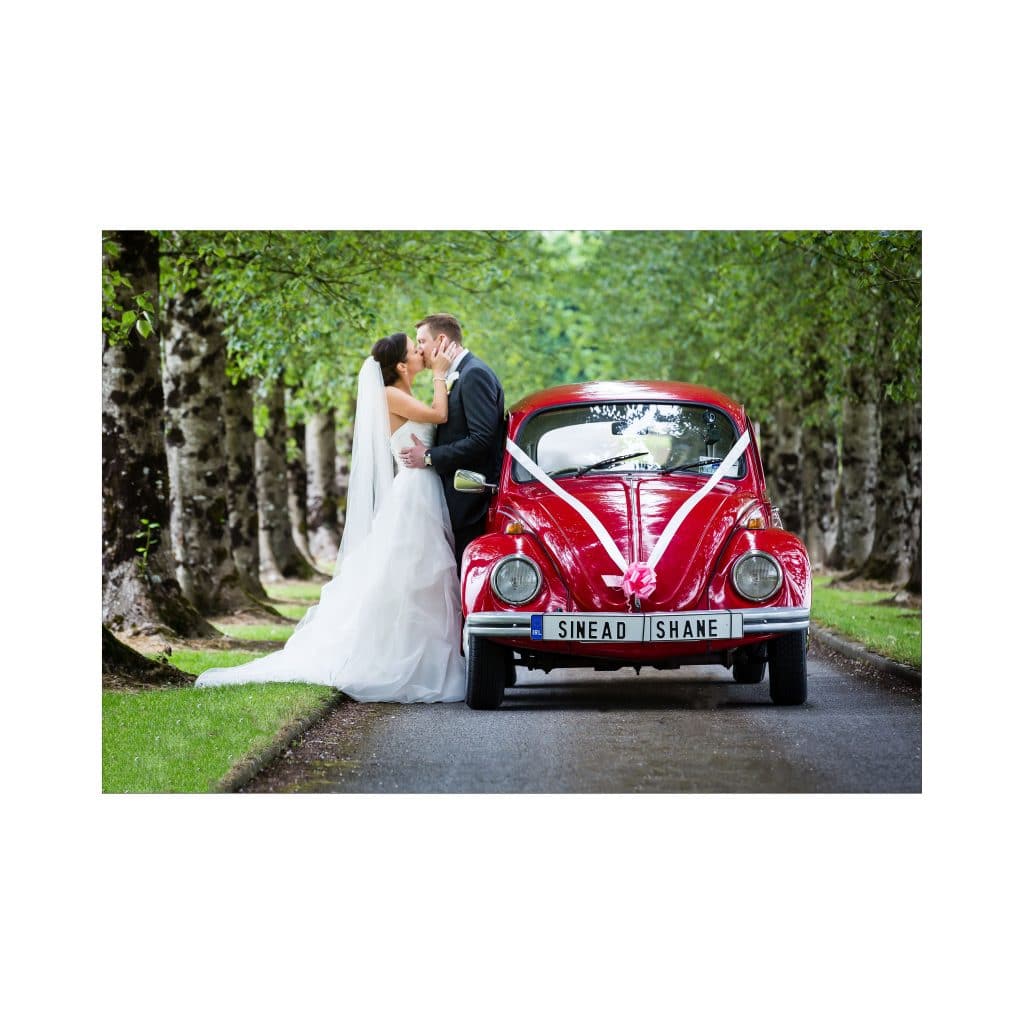 IPPA Best Classical Wedding Photography Portfolio 2015