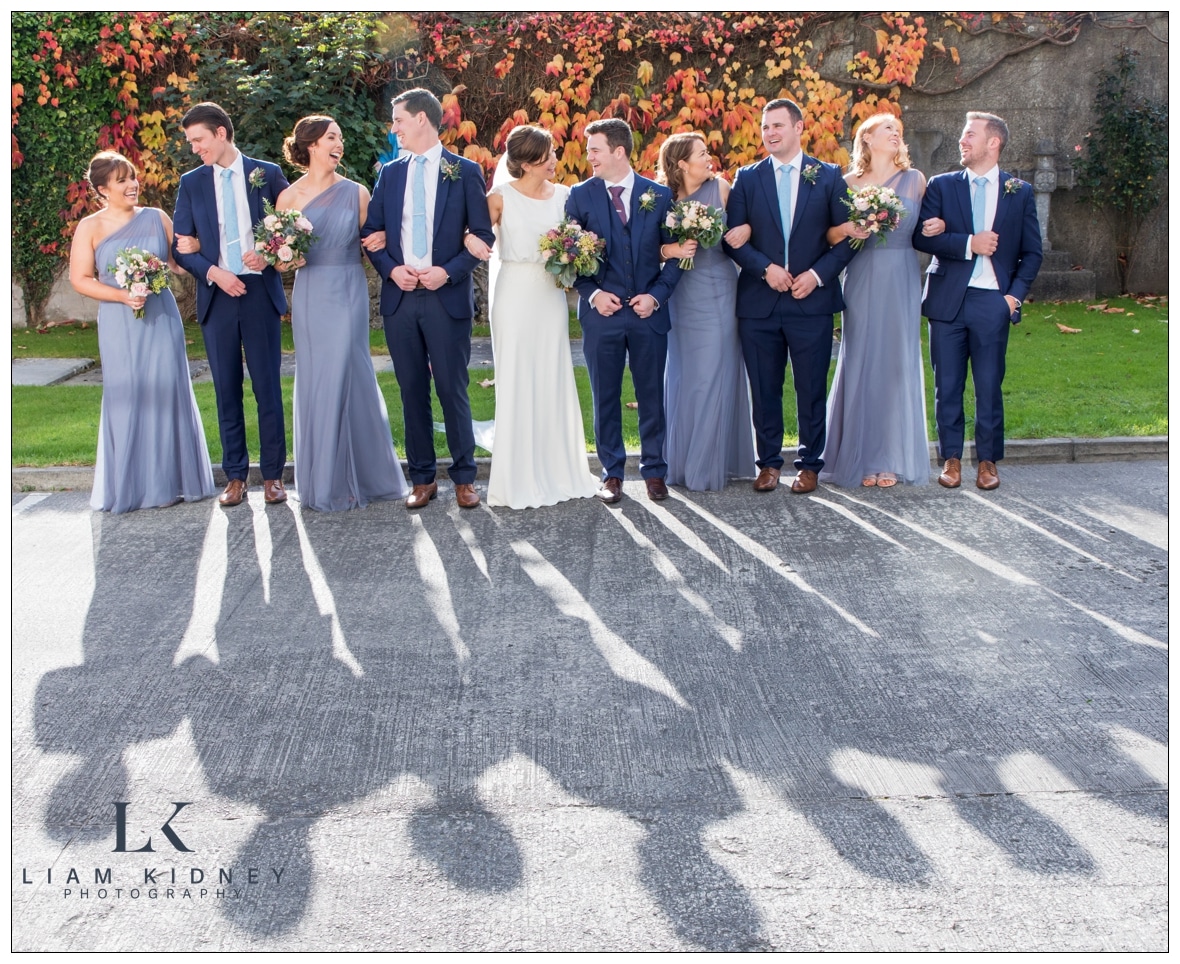 Westmeath Wedding Party In Athlone